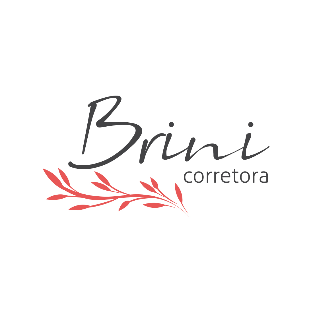 Brini Corretora